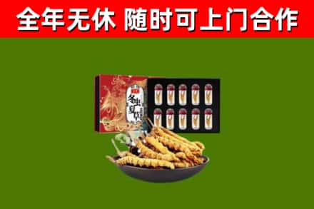 惠州市回收冬虫夏草价格